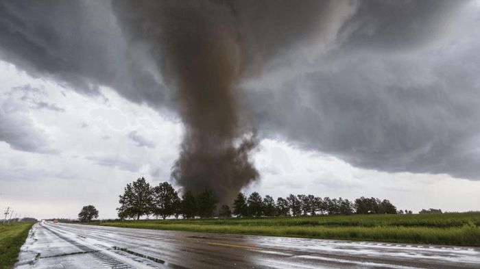 un tornado tra alcuni alberi, la prospettiva del fotografo è da non molto lontano, una nuvola a forma di imbuto grigia che si alza verso il cielo