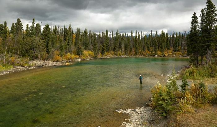 Uomo che pesca volando nel fiume Yukon, il bacino del fiume Yukon, Canada, Alaska.