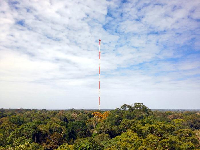 Una vista dell'Osservatorio Amazon Tall Tower utilizzato per raccogliere campioni d'aria.