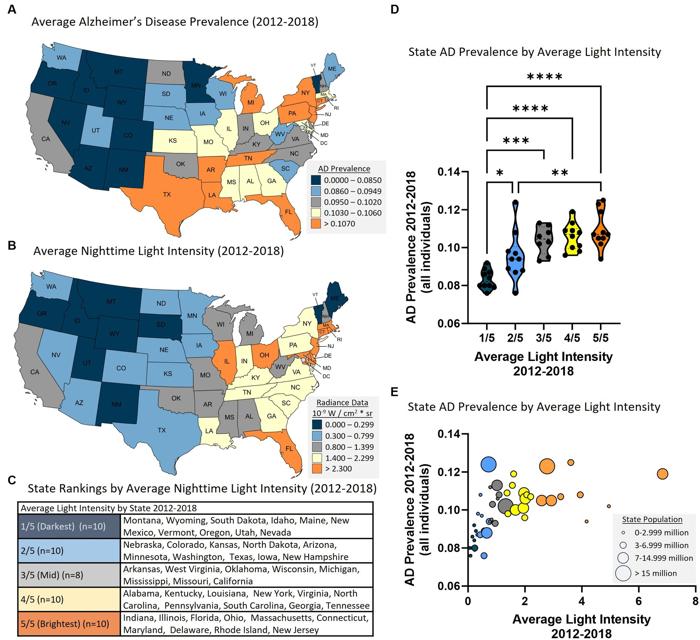 mappe della prevalenza di Alzheimer e dell'inquinamento luminoso in 48 stati degli Stati Uniti, tabella delle classifiche statali nei livelli di luce notturna e grafici che confrontano la prevalenza di AD e l'intensità luminosa