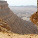 Un albero biblico ”germoglia” da un seme millenario trovato in Giudea