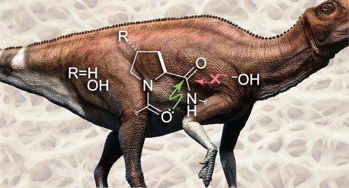 Un dinosauro con uno schema dei gruppi carbonilici, che mostra i legami tra atomi di carbonio in alcuni e ossigeni in altri che tengono l'acqua fuori.