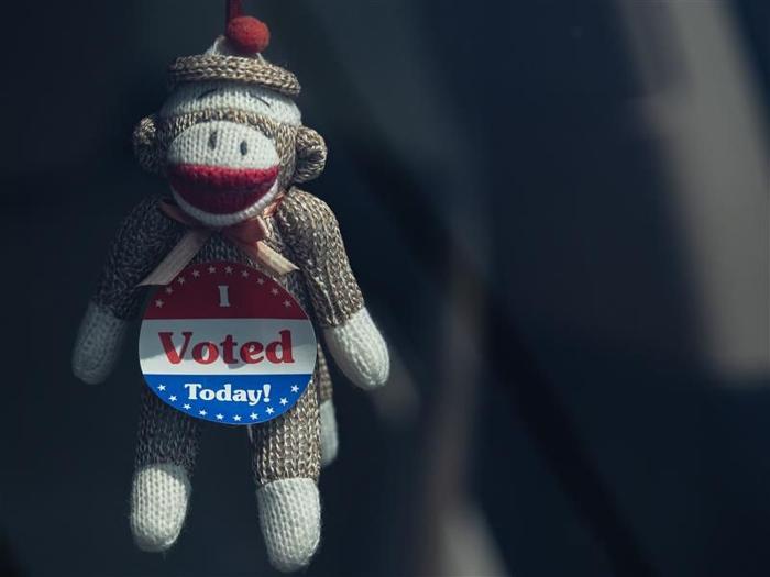 knitted-monkey-toy-wearing-an-i-voted-badge-m.jpg