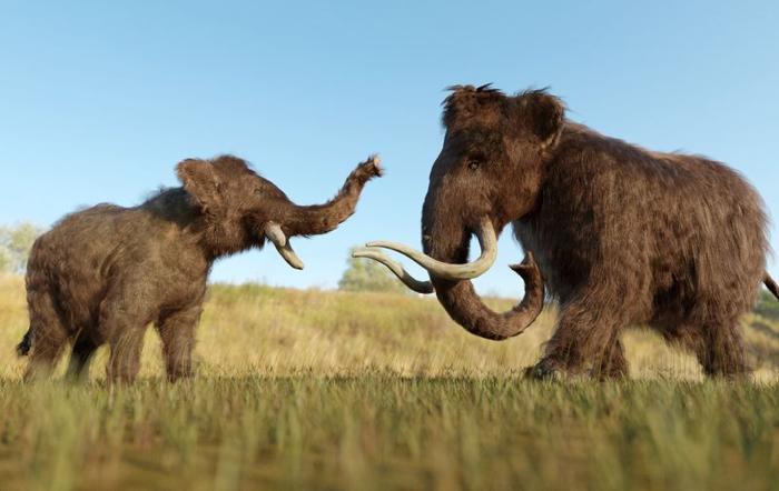 Un'illustrazione 3D di un Mammut lanoso e un cucciolo in un campo erboso.