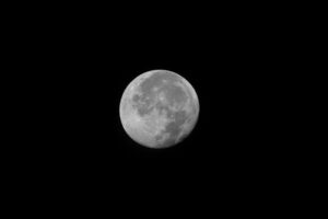 Un'immagine della luna piena su un cielo nero senza stelle visibili.