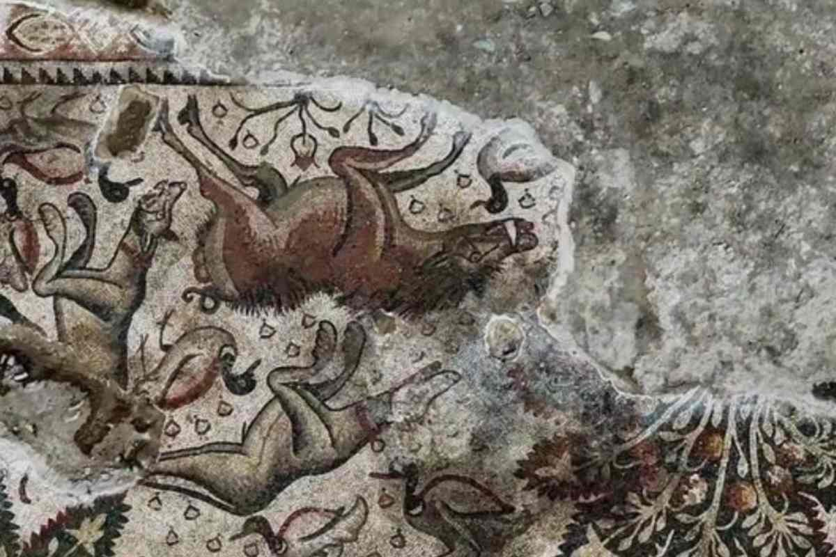 Raro mosaico romano scoperto in Turchia