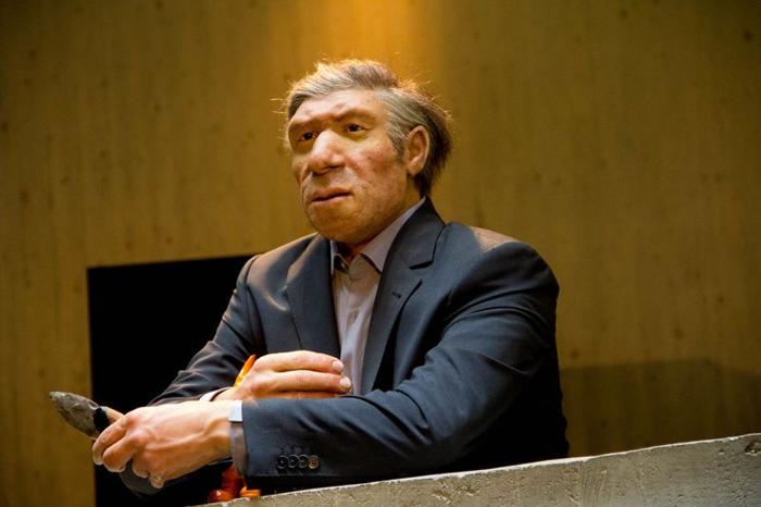 Un modello di un uomo di Neanderthal in abiti moderni al Museo di Neanderthal a Mettmann, Germania.