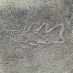 Misteri delle Linee di Nazca: Geoglifi svelati dall’IA