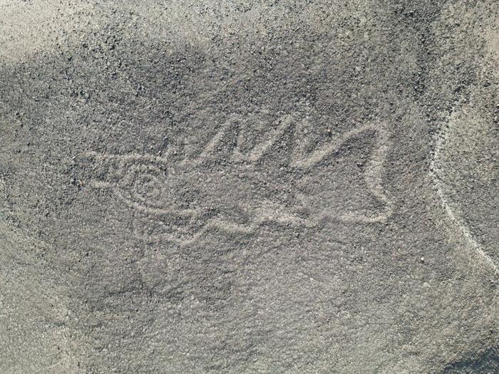 new-al-nazca-geoglyph-depicting-an-orca-with-a-knife-m.jpg