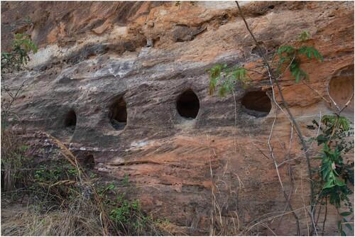 Una foto ravvicinata che mostra una fila di cinque piccole nicchie circolari nella roccia di arenaria. I buchi sembrano profondi e sono a circa un metro da terra. Sono visibili erba e fogliame sul pavimento. 