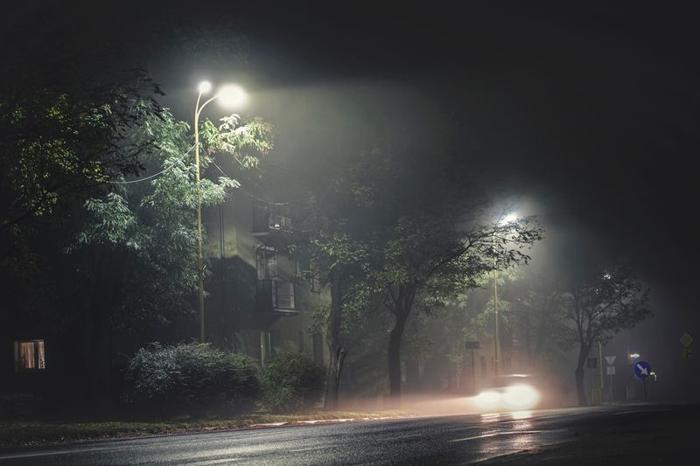 strada buia con scarsa visibilità con lampioni visibili; la strada è fiancheggiata da alberi e si possono vedere appena delle case dietro di essi