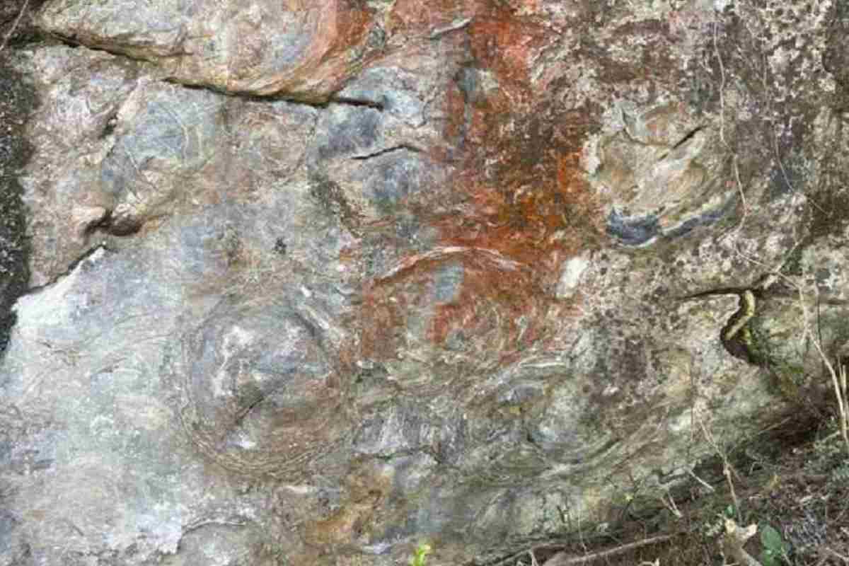 Una stromatolite scoperta nel Fossil Park in India