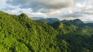 Bellissima vista aerea della foresta nelle montagne di Bukit Barisan nella provincia di Aceh, Indonesia