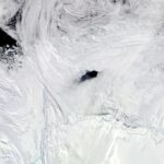 La misteriosa Polinia di Maud Rise: un enigma antartico