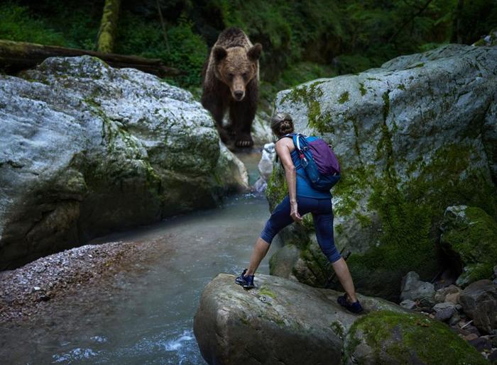 escursionista su un sentiero roccioso con la schiena alla telecamera, sorpreso da un orso grizzly