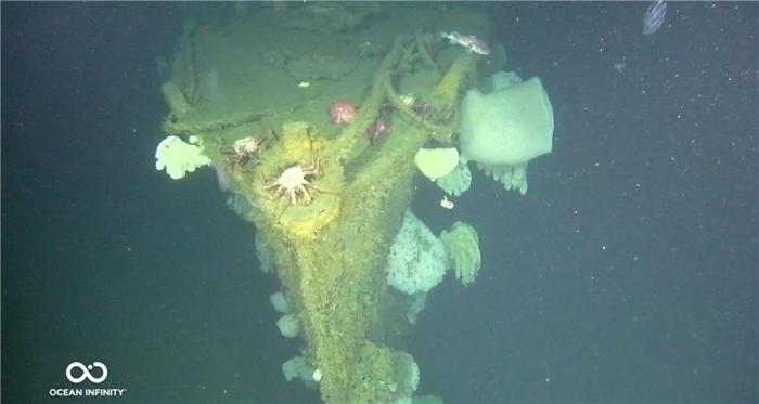 La foto mostra un'immagine ad alta risoluzione della prua della nave coperta di vita marina. La superficie è verde di crescita e ci sono grandi ammassi di corallo e altre forme di vita che sporgono dai lati. All'estremità della prua, si vedono due granchi che si avvicinano. 