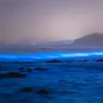 Le onde dell’oceano si tingono di blu bioluminescente davanti alle coste di San Diego 