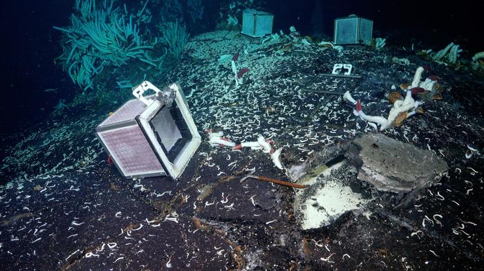 Uno sguardo all'interno della cavità sotterranea calda e piena di fluidi scoperta presso le fumarole idrotermali del mare profondo. Un scalpello è stato usato per scavare nella sottosuperficie.