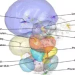 Laniakea non basta più: la nostra galassia è parte di ‘qualcosa’ di molto più grande