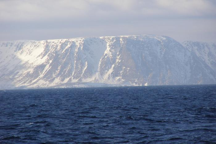 Seguendo il capelin, i ricercatori hanno fotografato le scogliere innevate della Norvegia nelle vicinanze.