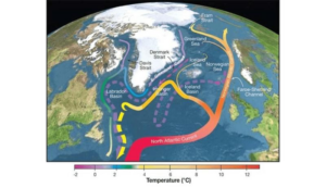 I flussi della corrente dell'Atlantico settentrionale, minacciati dall'aumento del disgelo dei ghiacci dalle terre circostanti.