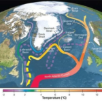 Impatti del disgelo dei ghiacci sull’AMOC e il clima globale