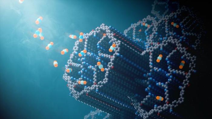 rappresentazione dell'artista che mostra le molecole di biossido di carbonio come piccole sfere che entrano nei piccoli tunnel delle molecole