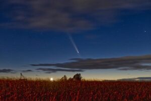 Cometa Tsuchinshan-ATLAS nel cielo notturno, che sfreccia attraverso un cielo blu scuro che diventa più chiaro verso il suolo, con vegetazione dai toni rossi in primo piano