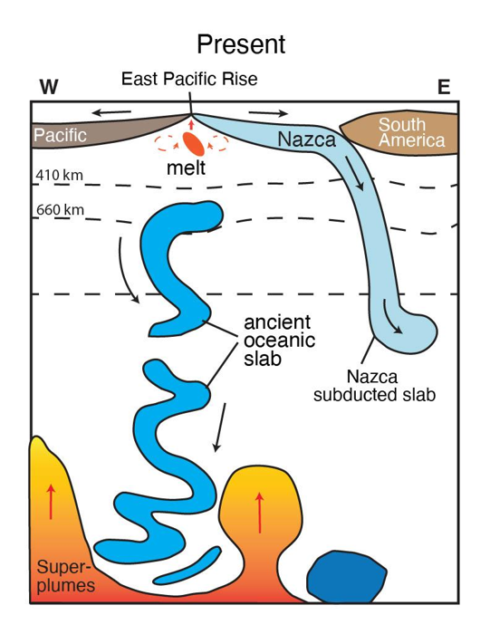 La lastra di Nazca viene sottoposta a subduzione sotto il Sud America, ma vicino al suo altro confine c'è il residuo di una lastra antica che ha iniziato a subdurire nel Triassico, che è sopravvissuto grazie alla resistenza alla zona di transizione del mantello