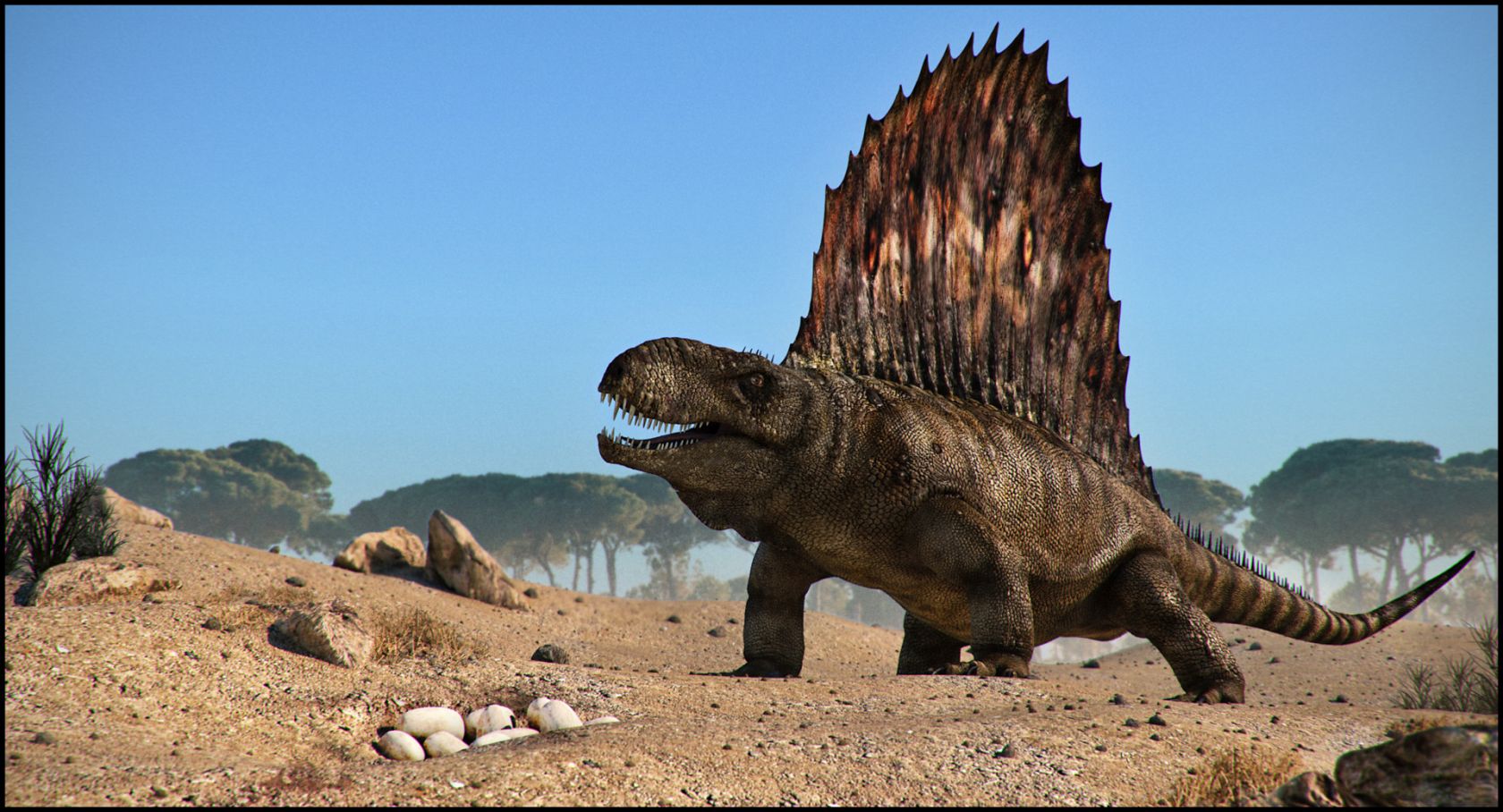 dimetrodon-final.jpg