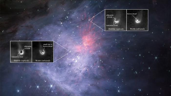 Un'immagine di JWST della nebulosa di Orione. Due ingrandimenti mostrano i candidati di nane brune con dischi protoplanetari