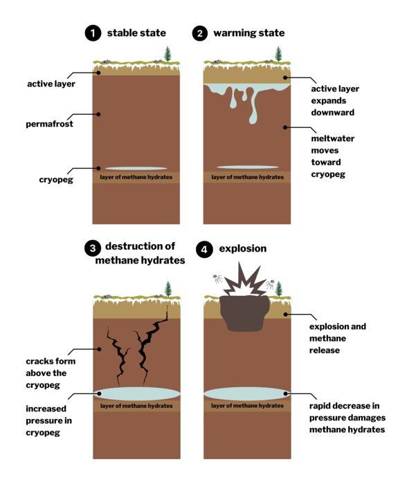 Un diagramma a 4 fasi che mostra come si formano le crepe e causano le esplosioni. Nella prima immagine, lo strato attivo del suolo è visto sopra lo strato di permafrost con lo strato piccolo di criopega circa due terzi in giù. Nella seconda immagine si vede l'acqua progredire verso il basso attraverso lo strato di permafrost. Nella terza, sono state aggiunte grandi crepe che portano in superficie. Nell'immagine finale, la superficie è esplosa, lanciando detriti in alto.