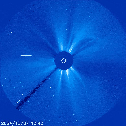 Animazione che mostra la comparsa della cometa. La cometa è una luminosa striscia di luce che lentamente entra a fuoco. Il Sole è coperto dal coronografo e sta rilasciando arcate vaporose di plasma, le CME