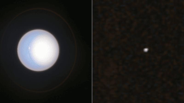 Urano a sinistra è chiaramente visibile con una piccola tempesta e un anello distinguibile nelle osservazioni di Hubble. L'immagine di New Horizons è solo qualche puntino