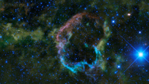 La nebulosa delle meduse (IC_443) è uno dei resti di supernova più vicini, da una stella che si crede sia esplosa 30.000 anni fa, ma un esempio molto più vicino milioni di anni fa potrebbe aver lasciato alla Terra un'eredità di ferro-60