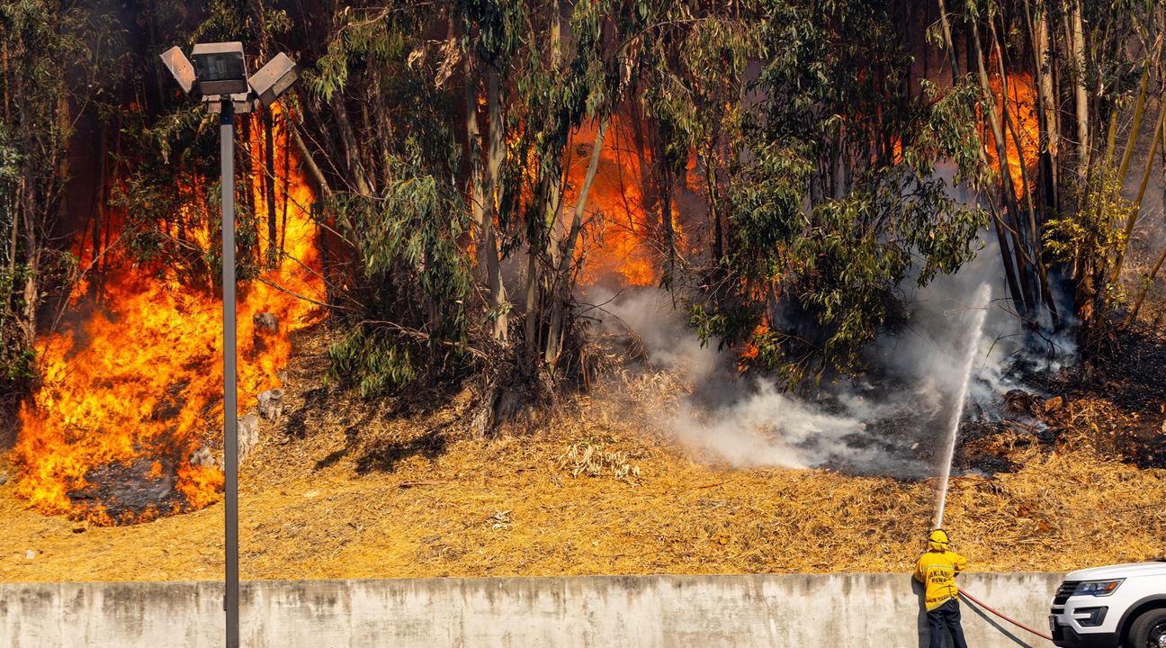 Violento incendio in California: fiamme a Oakland