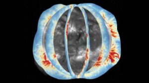 Un'illustrazione del campo magnetico coronale globale mentre il Sole ruota. Lo sfondo mostra la corona solare osservata nella banda ultravioletta estrema, con mappe del campo magnetico coronale globale misurate in tempi diversi sovrapposte su di essa.