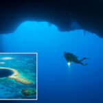 Gli esperti hanno fatto scoperte inaspettate nel Great Blue Hole