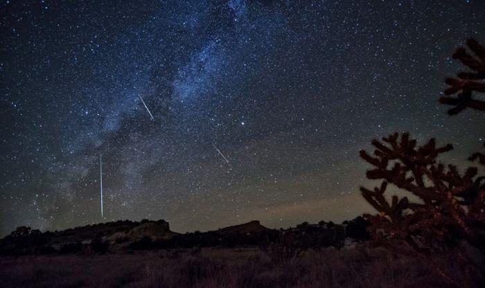 orionids meteor shower photographed in 2016; meteors are visible streaking downwards in the sky, which is starry and dark blue fading to pale orange; there are hills and grasses visible and a plant in the foreground at the right hand side