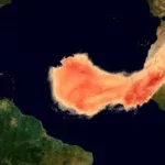 Ecco come l’atmosfera trasforma la polvere del Sahara in nutrienti marini