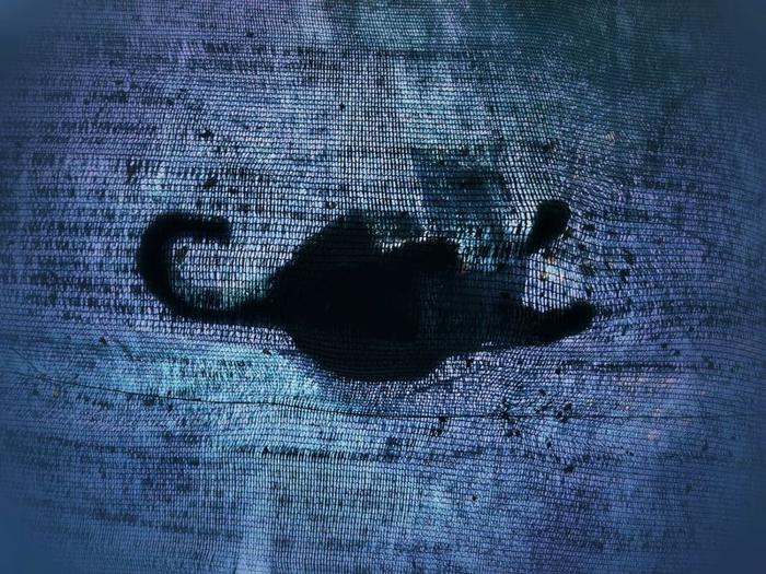 Una foto di un telo di copertura con un gatto che ci sta sopra. Il gatto è visibile solo come una silhouette.