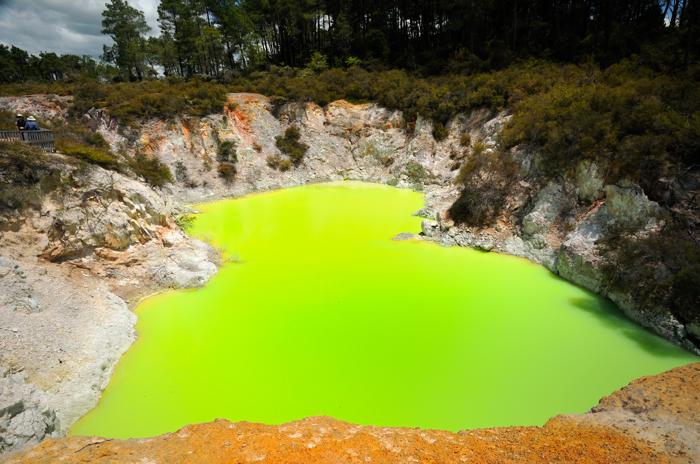 lago verde acido circondato da rocce e alberi cespugliosi, con una foresta sullo sfondo