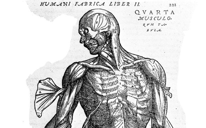 vesalius-m.png