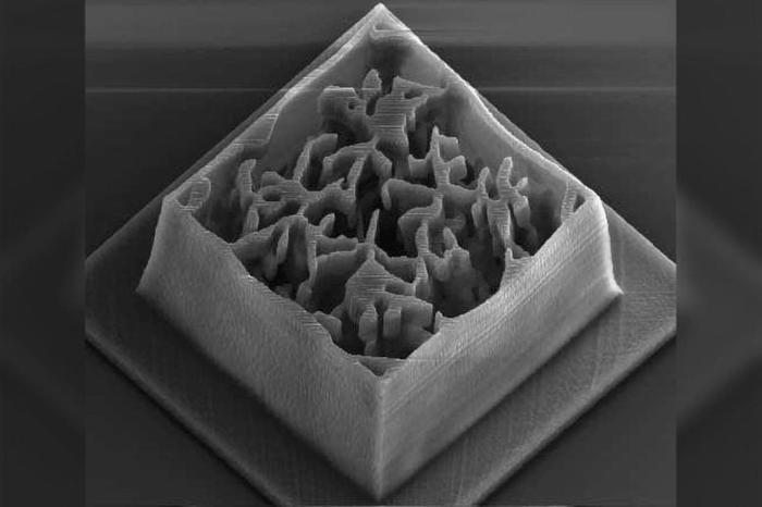 Stampa 3D di Nuovi Dispositivi Ottici Nanometrici