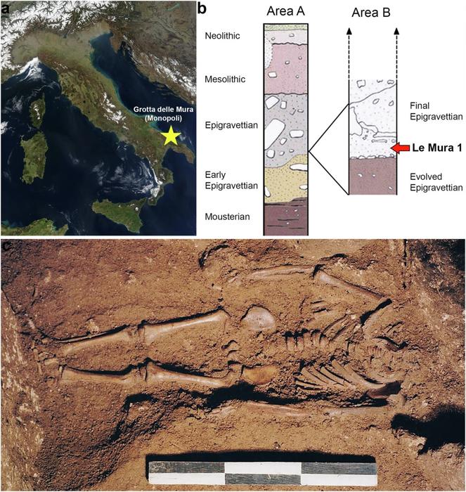 Neonato del Paleolitico superiore della Grotta delle Mura