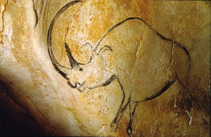 Arte rupestre del rinoceronte lanoso dalla Grotta Chauvet