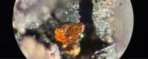 Un oggetto arancione brillante sotto un microscopio