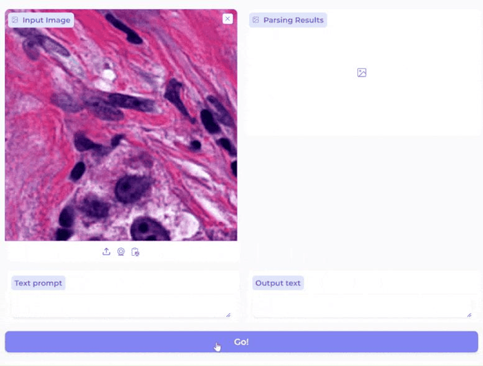 BiomedParse Analisi Immagini Mediche AI