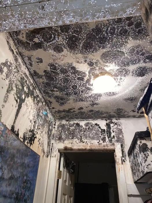 Muffa nera spruzzata su tutte le pareti e il soffitto all'interno di un edificio