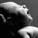 La trasformazione del cervello neonatale: uno studio rivoluzionario